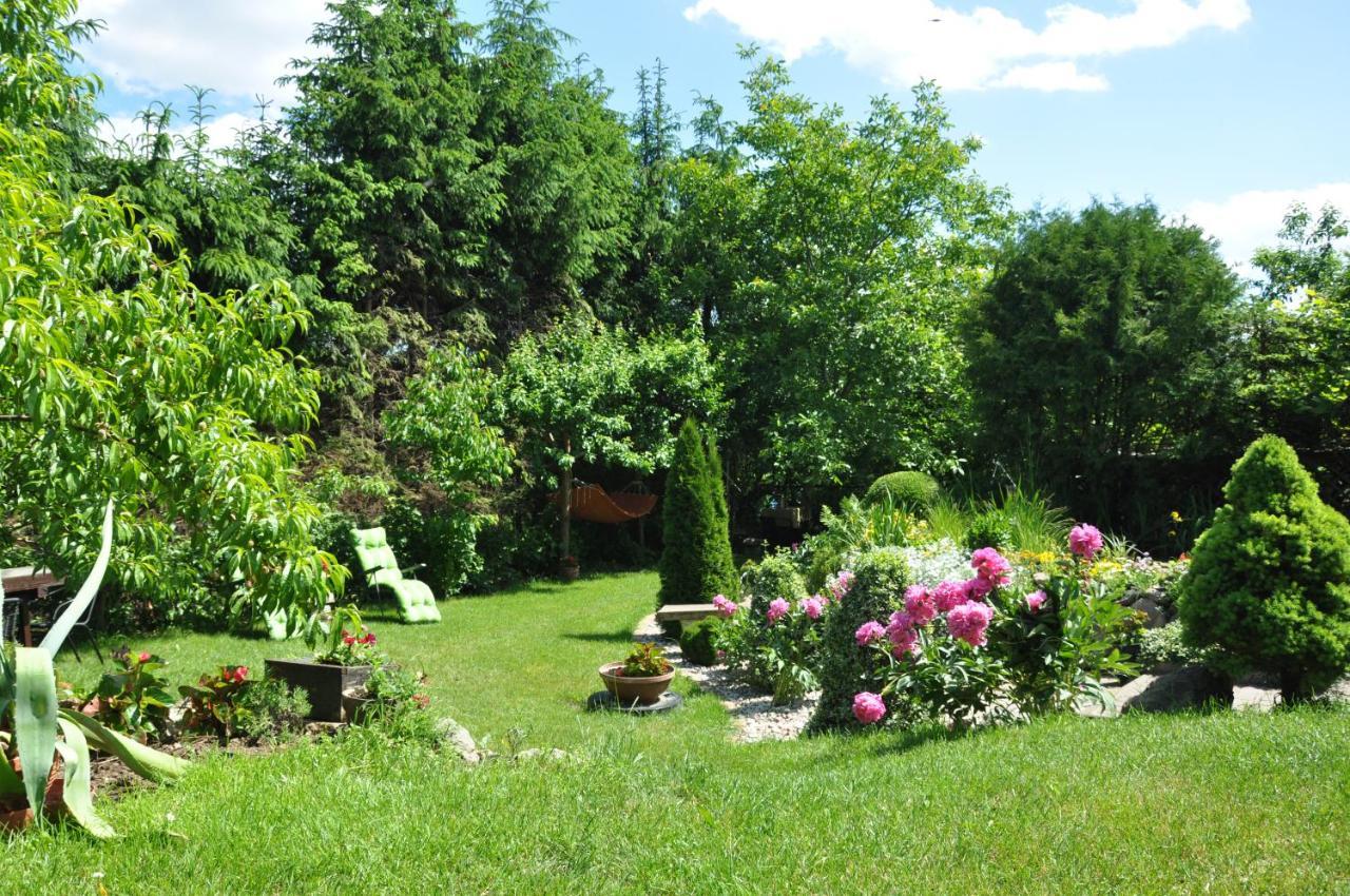 Ferienwohnung Oaza U Tadeusza Augustów Exterior foto